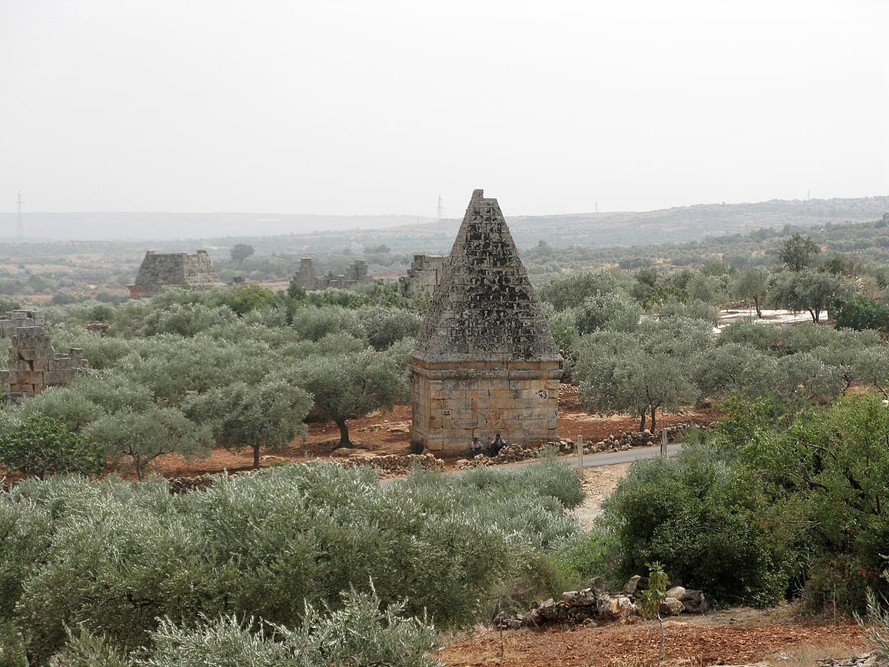 Archive photograph of stone tombs among olive trees at Al-Bara in Idlib Governorate, photographed by Vyacheslav Argenberg on 23 August 2008.