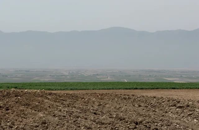 View from Apamea across the Ghab Plain towards distant coastal mountains, August 2008 archive photograph