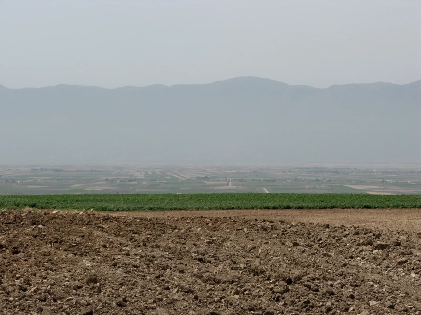View from Apamea across the Ghab Plain towards distant coastal mountains, August 2008 archive photograph