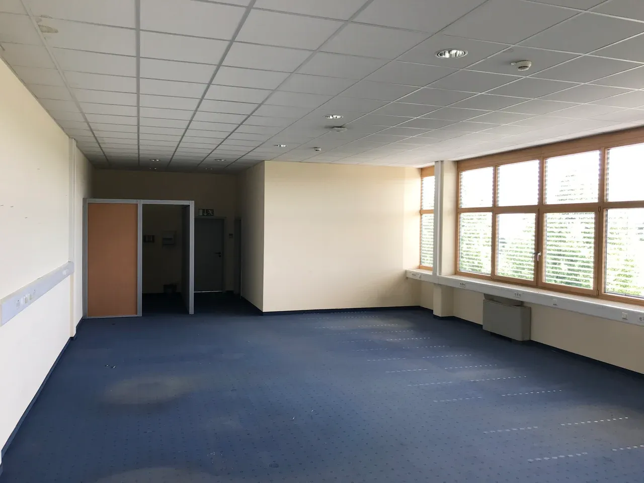 Unfurnished office room with blue carpet, an interior partition and doorway, suspended ceiling panels and windows along one wall