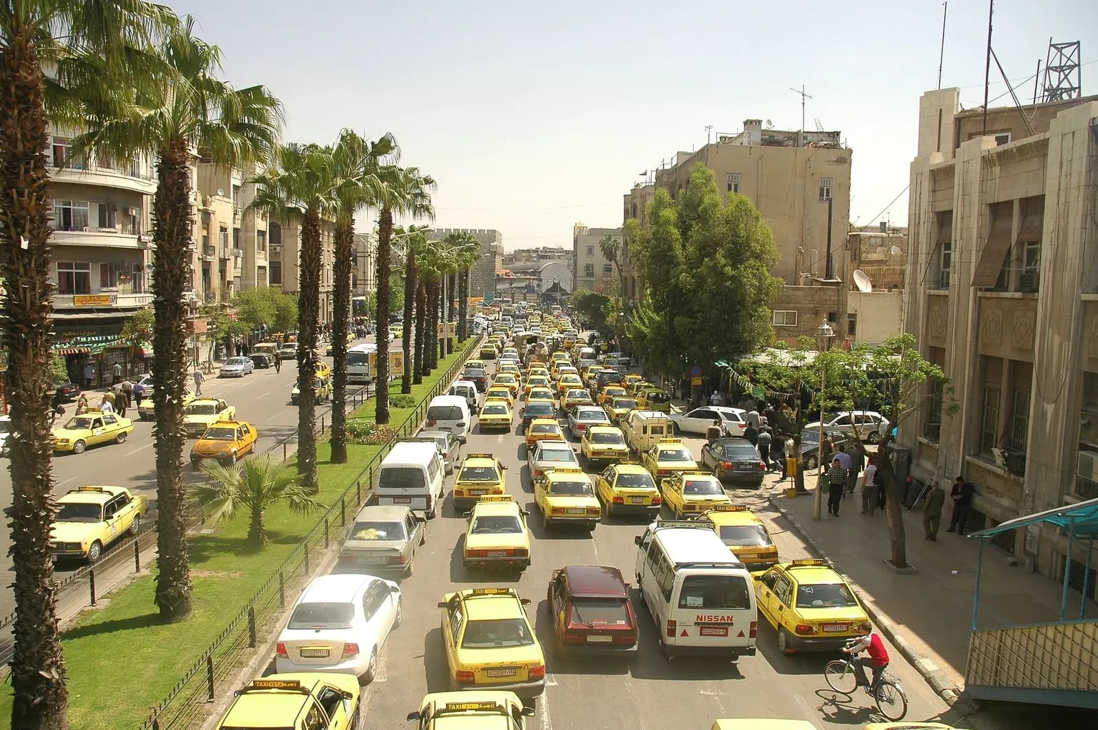 Vehicles on a palm-lined street in Damascus, April 2006