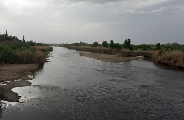 Euphrates water channel bordered by exposed shore, reeds and trees in Deir ez-Zor, April 2009