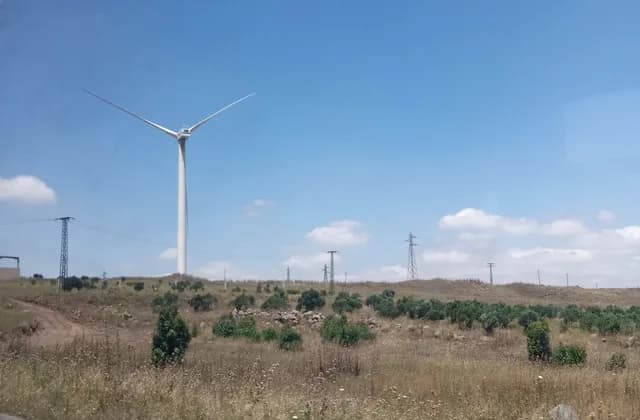 Wind turbine and overhead electricity lines west of Homs, May 2024