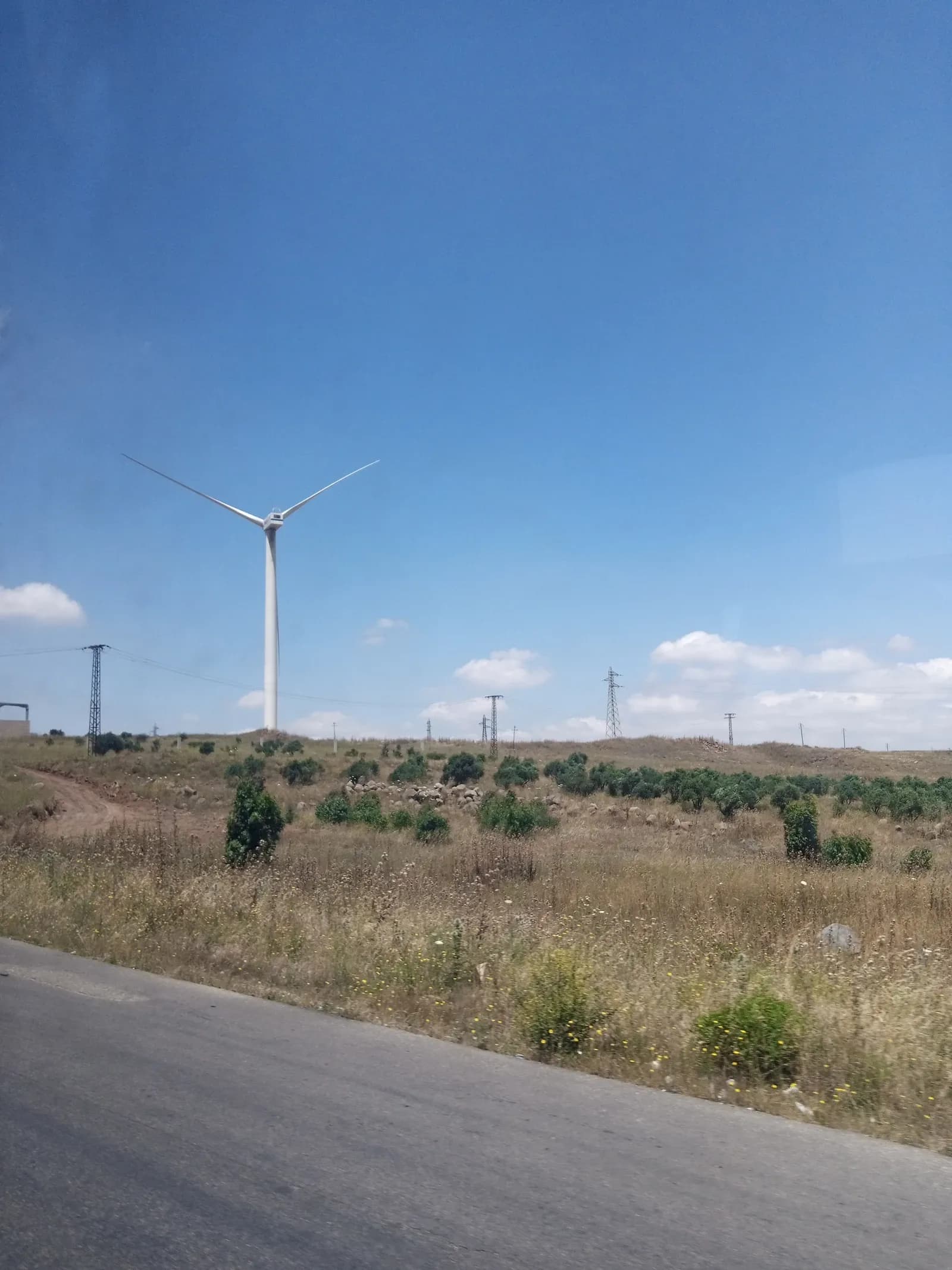 Wind turbine and overhead electricity lines west of Homs, May 2024