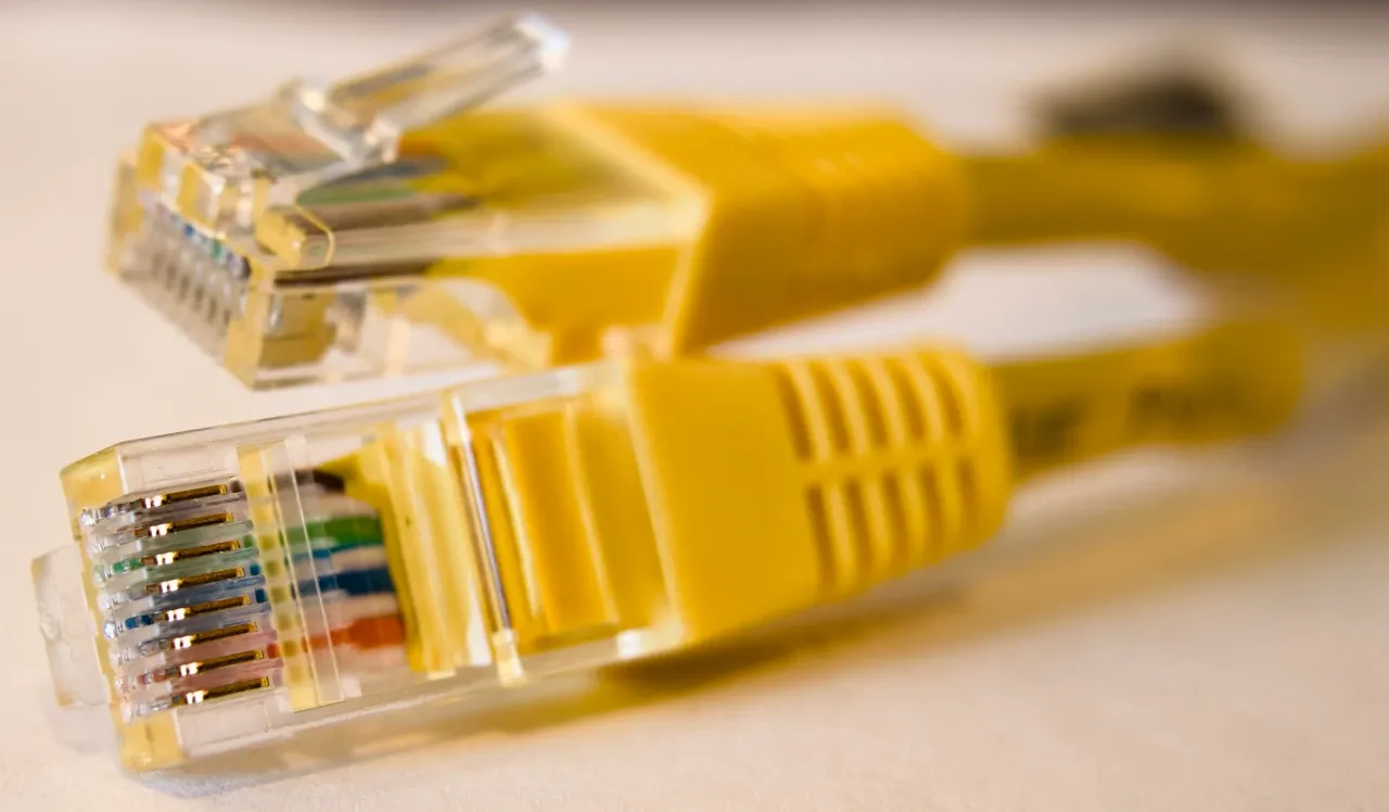 Two transparent plugs on yellow Ethernet cables, photographed in February 2026