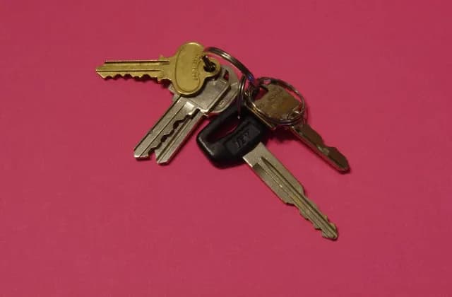 Mixed metal keys on a ring against a pink background, photographed in January 2012