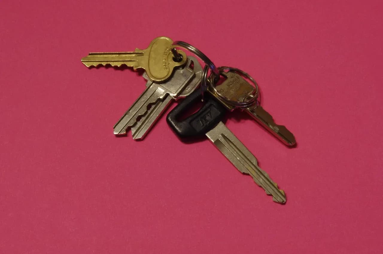 Mixed metal keys on a ring against a pink background, photographed in January 2012