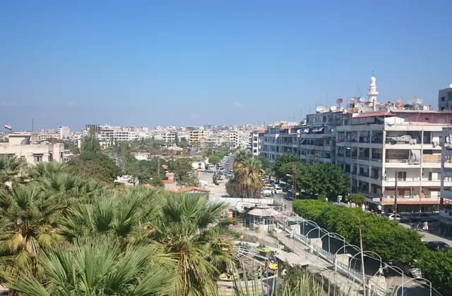 Multi-storey buildings, balconies and a palm-lined urban street in Latakia, November 2014