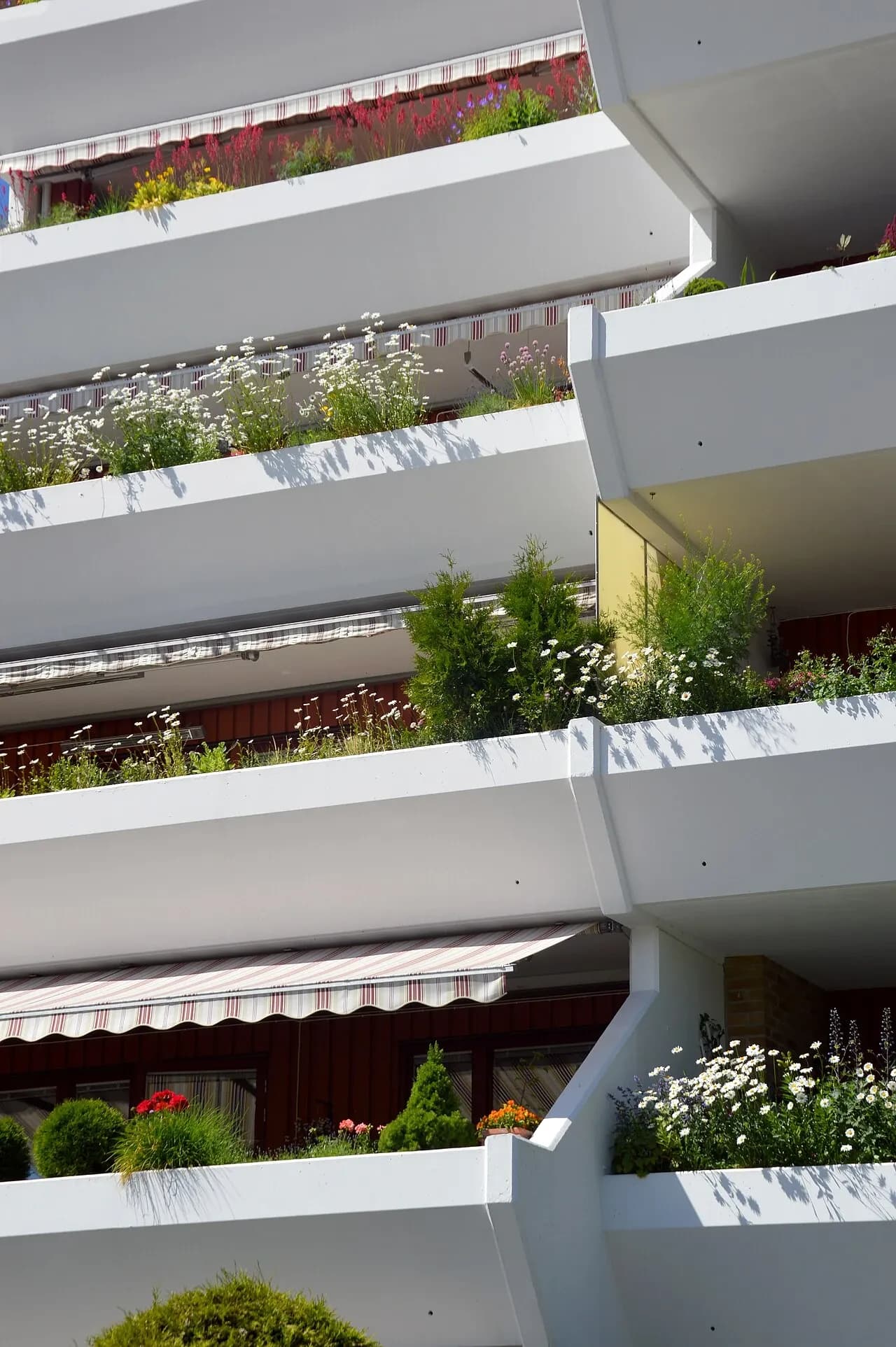 Apartment balconies with plants in Örebro, Sweden
