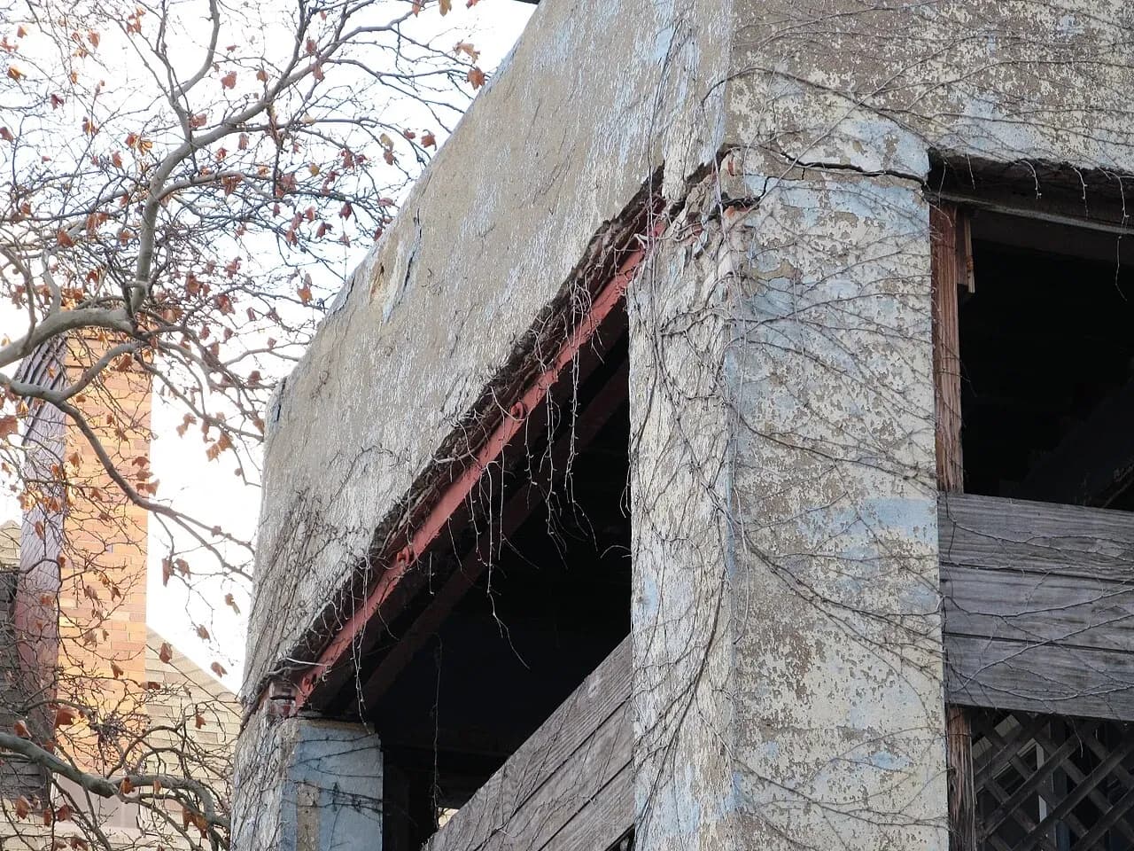 Concrete balcony partly covered by climbing vegetation on a Pittsburgh apartment building