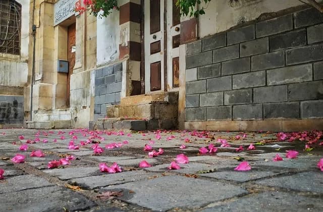 Doorway and flower-strewn paving near Khalid al-Azm's house in Old Damascus, November 2020