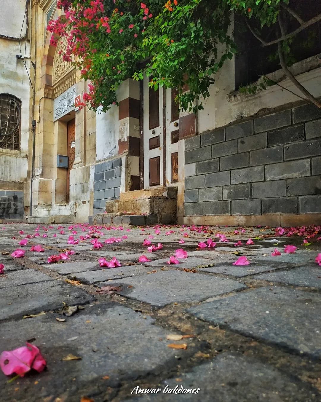 Doorway and flower-strewn paving near Khalid al-Azm's house in Old Damascus, November 2020