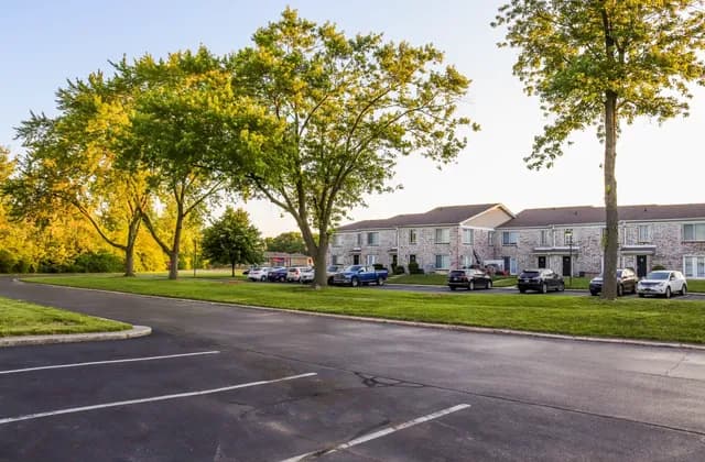 Marked parking bays in the foreground, with parked vehicles and apartment buildings beyond trees