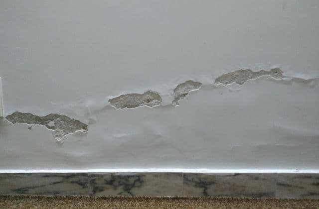 Damaged plaster and moisture marks along the lower part of an interior wall