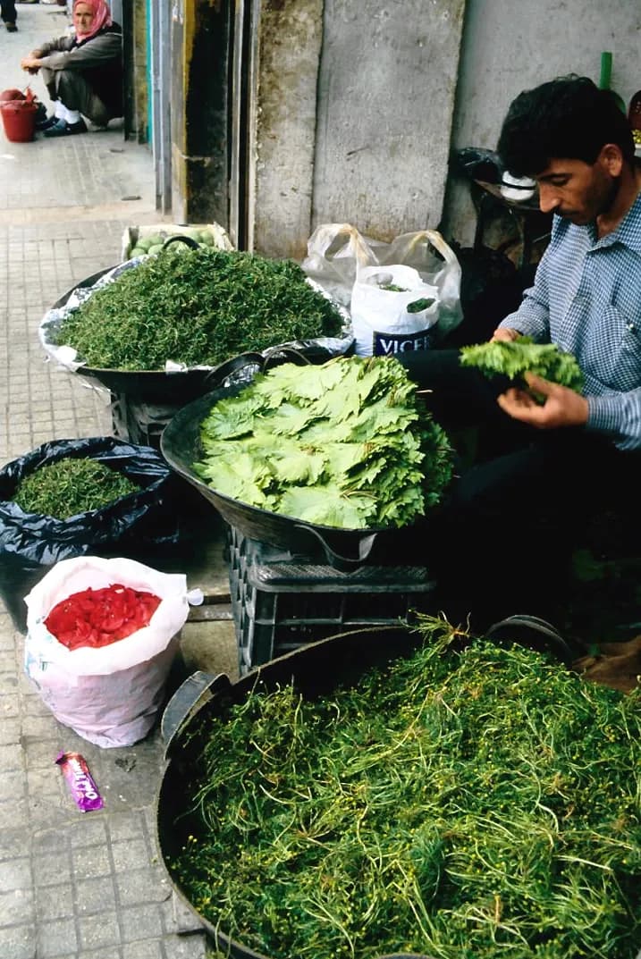 Vendor preparing vine leaves beside baskets of produce in Syria, April 2001